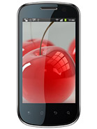 Best available price of Celkon A19 in Spain