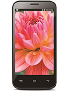 Best available price of Lava Iris 505 in Spain